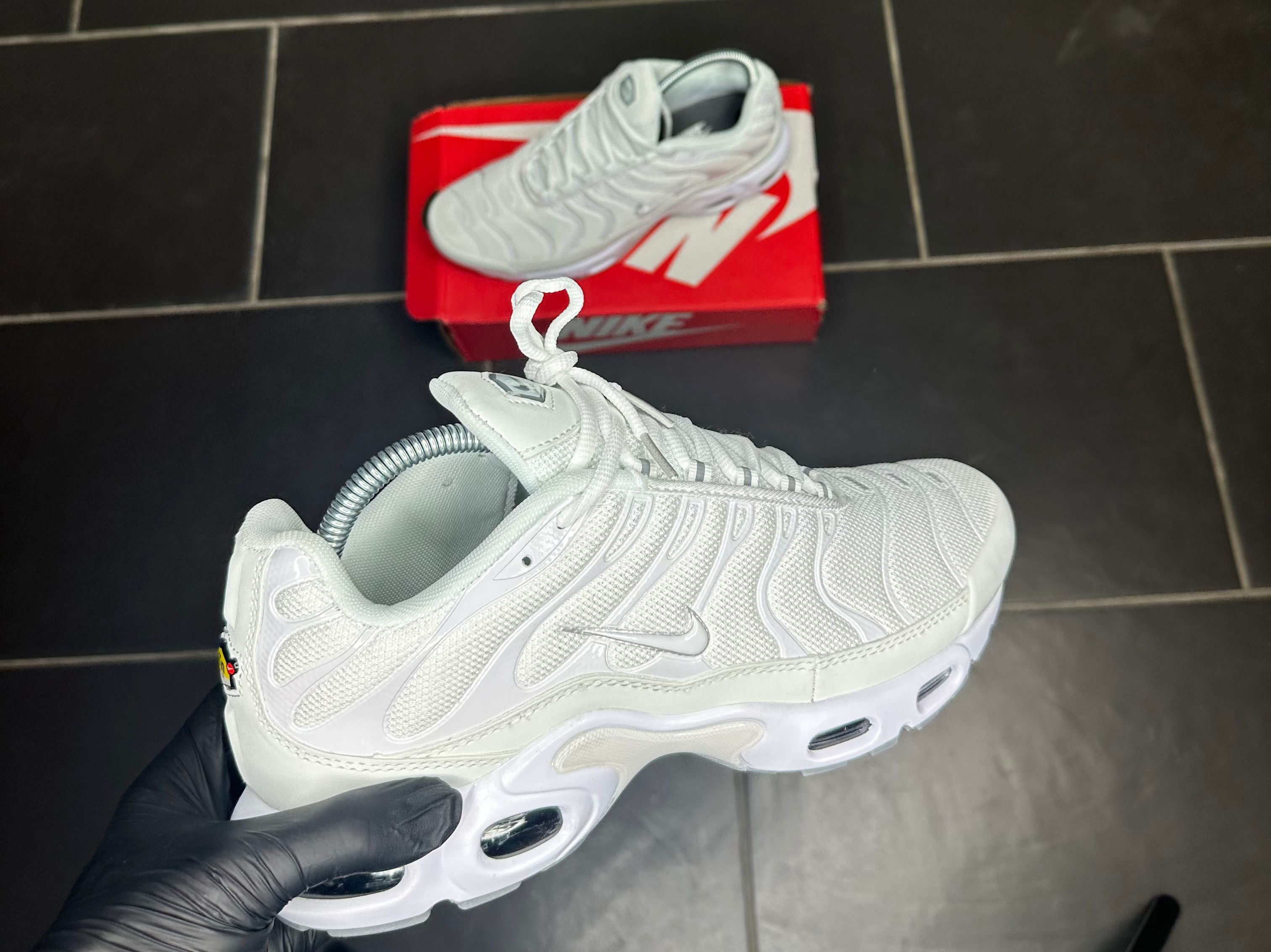 Requin full Blanche
